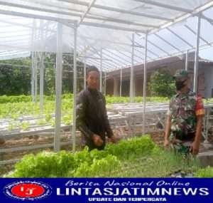 Babinsa Himbau Warga Manfaatkan Lahan Pekarangan untuk Bercocok Tanam