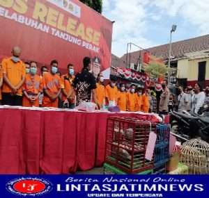 Dalam Sebulan Polres Tanjung Perak Berhasil Mengamankan Puluhan Penjudi Online Maupun konvensional