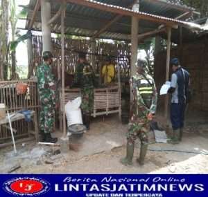 Berantas PMK Pada Hewan Ternak, Kodim 0802/Ponorogo Bersinergi Dengan Unsur Terkait