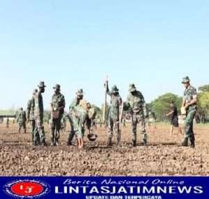 Kodim 0812 Lamongan Tanam Jagung, Dukung Program Ketahanan Pangan Nasional