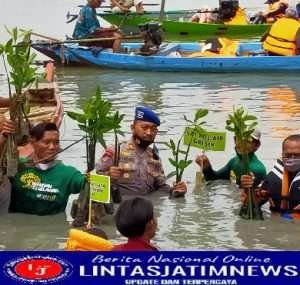 Peduli Lingkungan Polairud Polres Gresik Tanam Mangrove di Hari Perhubungan Nasional