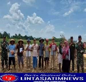 Dukung Ketahanan Pangan, Kodim Banyumas Tanam Jagung