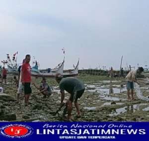 Hadapi Musim Timur, Nelayan Paciran Perkuat Tali Sandaran Perahu