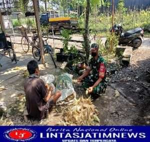 Babinsa Geneng Semangati Petani Jagung