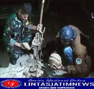 Babinsa Bersama Relawan Musnakan Sarang Tawon Vespa Affinis