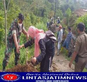 Sukseskan Program Penghijaun Kodim Boyolali, Koramil Cepogo Hijaukan Lereng Gunung