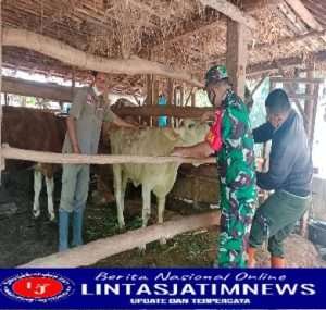 Babinsa Koramil 06/Batuwarno Dikerahkan Dampingi Vaksinasi PMK di Desa Binaan