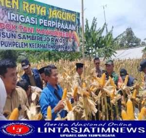 Panen Raya Jagung dan Peresmian Irigasi Perpipaan Poktan “Mawar Merah“ Desa Puhpelem Dihadiri Peltu Bambang
