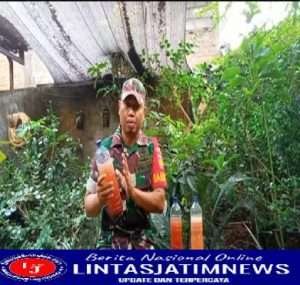 Kreatifitas dalam Mengatasi Kelangkaan Pupuk