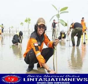 Cegah Abrasi dengan Tanam Sebelas Ribu Pohon Mangrove di Pesisir Jawa Tengah