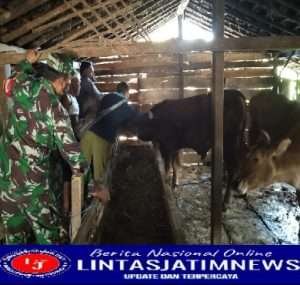 200 Vaksin PMK tahap 2 untuk Desa Kenongorejo Sukses Dilaksanakan