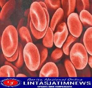 Ilmuwan Temukan Jenis Golongan Darah Baru