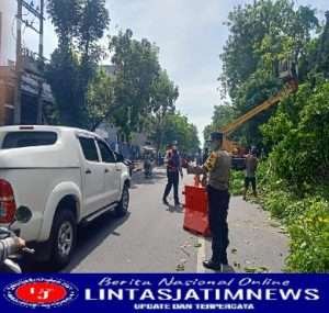 Polsek Tambakssri Bersama DLH Giat  Perampingan Pohon