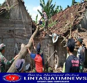 Babinsa Koramil Sine Bersama Masyarakat Kerja Bakti Pembersihan Pohon Tumbang Menimpa Rumah Warga