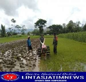 Tingkatkan Swasembada Pangan, Kodim 0801/Pacitan Bantu Petani Mengolah Lahan Sawah