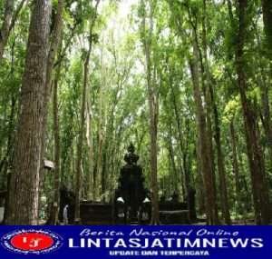 Alas Purwo Antara Keindahan dan Kemistisannya