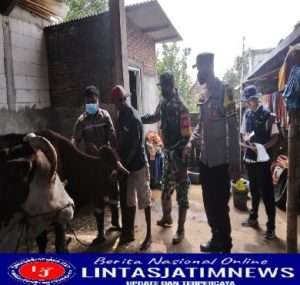 Babinsa Jatibatur Aktif Dampingi Vaksin PMK Tahap 2