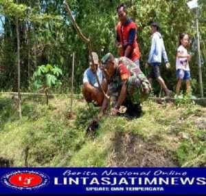 Babinsa Sambi Lakukan Penghijauan Bersama Warga