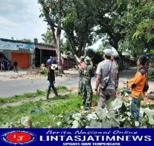 Bersama Warga, Anggota Koramil Paron Tebang Pohon Yang Di Anggap Membahayakan
