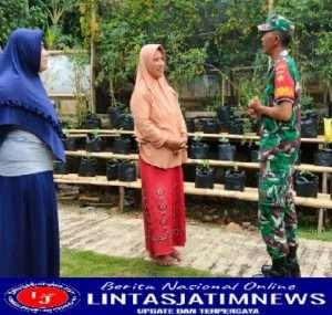 Wujudkan Ketahanan Pangan, Babinsa Klego Komsos Dengan Kelompok Tani