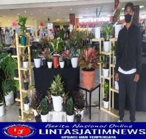 Kaza Mall Mengadakan Event Pets n Plants, ada yang Unik Pameran kali ini