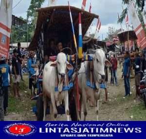 Babinsa Hadiri Festival Gerobak Sapi Manunggal Lestari