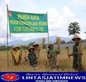 Kodim 0732/Sleman Panen Raya Padi, Dukung Ketahanan Pangan