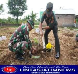 Kodim 0726/Sukoharjo Gelar Program Penanaman 5000 pohon Bibit Buah