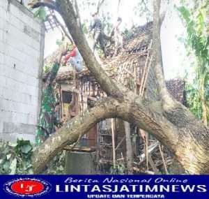 Rumah Warga Tertimpa Pohon, Danramil Wonosegoro Pimpin Bantu Evakuasi