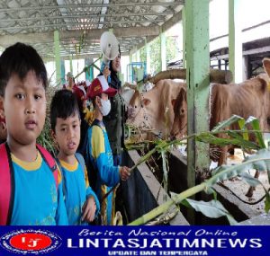 SD Muhammadiyah Sidoharjo Lamongan Belajar di Dinas Peternakan