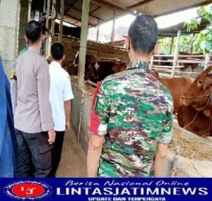 Babinsa Sukseskan Vaksin PMK di Desa Pulutan Nogosari