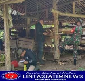 Bentuk Dukungan Dan Upaya Mencegah PMK, Babinsa Hadir Berikan Pendampingan Dalam Kegiatan Vaksinasi