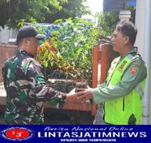 Babinsa Kemlayan Dampingi  dinas pertanian Beri bibit cabai kepada pengurus PKRW kelurahan