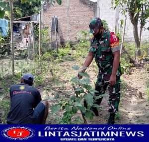Dengan Program “Gema Parut” Babinsa Bersama Masyarakat Tanami Lahan Pekarangan