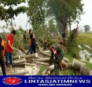Gerak Cepat, Anggota Koramil Padas Bersama Instansi Terkait atasi Pohon Tumbang