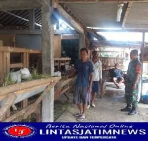 Dukung Peningkatan Potensi Wilayah, Babinsa Komsos Dengan Peternak Kambing