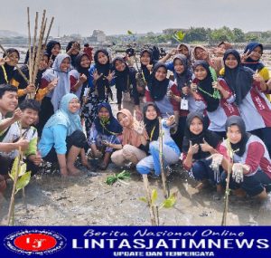 Mahasiswa Fakultas Perikanan UNISLA Adakan Kegiatan Penanaman Mangrove Di Pantai Tunggul