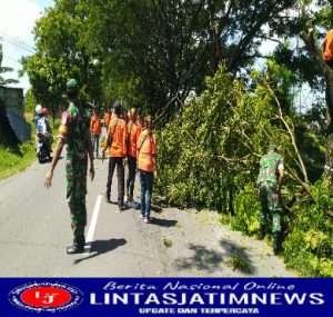Membahayakan Pengguna Jalan, Anggota Koramil Ngawi Bersama Tim SAR Tebang Pohon Di Pinggir Jalan