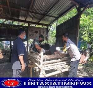 Optimalisasi Penanganan PMK Babinsa dampingi Dinas Pertanian, Pasang Eartag Barcode Guna Pendataan Hewan Ternak