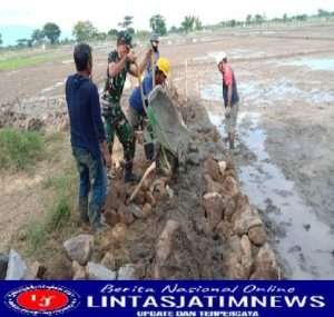 Bantu Petani Tingkatkan Hasil Panen,Babinsa Koramil Kwadungan Bersama Petani Bangun Saluran Irigasi