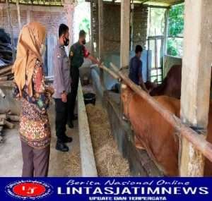 68 Ekor Sapi di Desa Guworejo sudah Terpasang Eartag