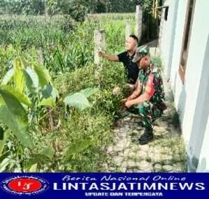 Manfaatkan Lahan Perkarangan, Babinsa Karangjati Ajak Warga Tanam Sayuran di Sekitar Rumah untuk Program Gema Parut