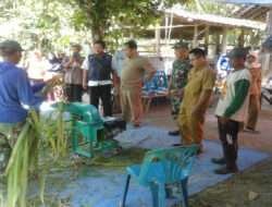 Penyerahan Bantuan Alat Pemotong Rumput di Hadiri Babinsa Kulur