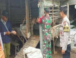 Babinsa Kwadungan Aktif pendampingan vaksinasi PMK dan Sosialisasi Terkait Vaksinasi Hewan Ternak Di Desa Binaan