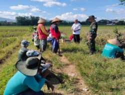 Bersihakan Saluran Irigasi, Babinsa Koramil 02 Nguter Bantu Darga Desa Tanjung Tingkatkan Hasil Pertanian