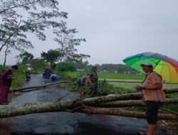 Babinsa Gerak Cepat Atasi Pohon Tumbang
