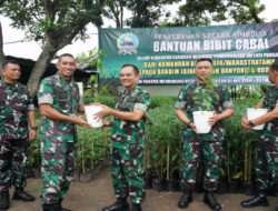 Gerakan Tanam Tabai di Pekarangan, Dandim 0726/Sukoharjo Terima Bibit Tanaman Cabai