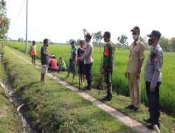 Babinsa Karangjati Bersama Warga Masyarakat, Gropyokan Usir Hama Tikus di Saat Musim Tanam Padi