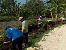 Ringankan Beban, Babinsa Koramil Bringin Kerja Bakti Gotong Royong Pelebaran Jalan Diwilayah