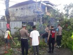 Tim Tanggap Bencana Polres Tulungagung Tangani Pohon Tumbang, Akses Jalan Kembali Normal